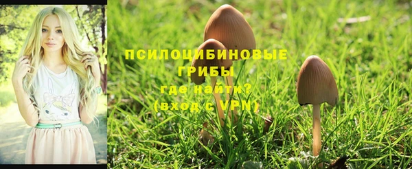 гашишное масло Алзамай