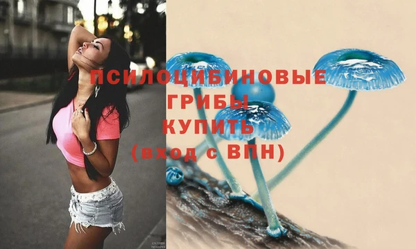 хмурый Алексеевка
