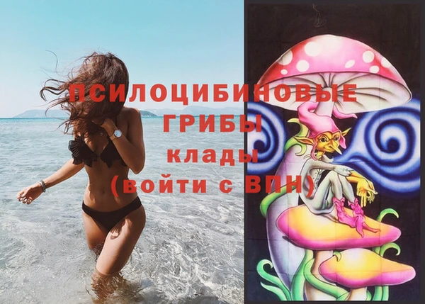 хмурый Алексеевка